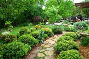 Саженцы Частный питомник "Ельник''